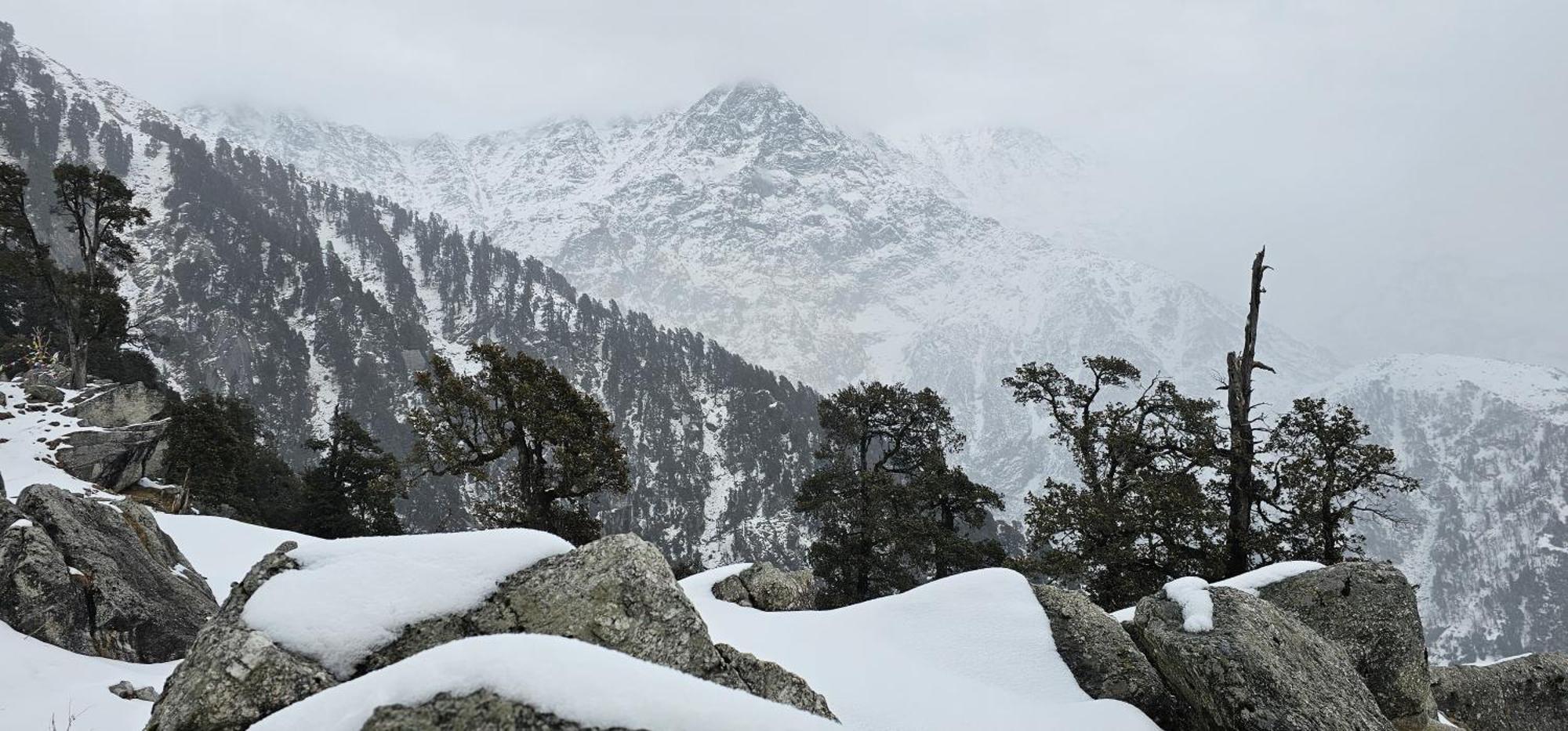 Hotel Starwud Kotagge McLeod Ganj Zewnętrze zdjęcie